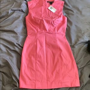 NWT French Connection Stretch Shift Dress